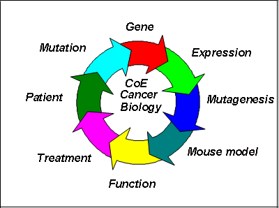 Goals of the CoE program